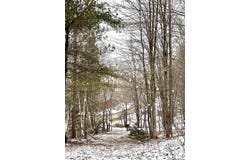 Todd Mountain Road, Arkville, NY 12406