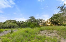 31860 Mirela Ann Rd, Dripping Springs, TX 78620