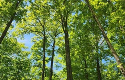 8113 Deer Ridge Ct, Baileys Harbor, WI 54202
