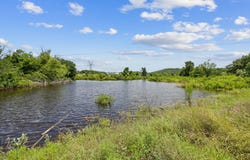 13683 County Road 2200 RD, Lometa, TX 76853
