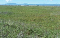 C. DEL SOL A081/MULBERRY A146, McIntosh, NM 87032