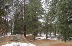 3525 Cayuse Circle, Chiloquin, OR 97624