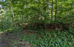 LOT 85-86 ORIOLE CT, FRONT ROYAL, VA 22630