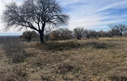 Tbd 10.02 Acres County Road 164, Eastland, TX 76448