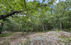 on Bushy Cr Truck Trail, Marquette, MI 49855