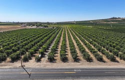 0 Avenue 424, Dinuba, CA 93618