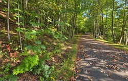 250 Turn-A-Bout Ct lot: 57, Waynesville, NC 28785