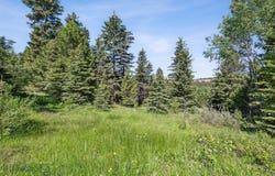 Smokey Mountain Drive, Anaconda, MT 59711