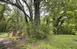 Lot 8 Adams Street, Cherokee, AL 35616