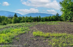 0 Lot Fish Creek Road, Saugerties, NY 12477