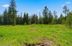 NKA 10-Ac E Parks Rd, Athol, ID 83801