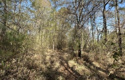 33.66+/-AC Snyder Avenue, AL