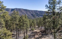 Taylor Ranch lot: 5A, Durango, CO 81301