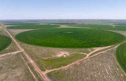 Busby Farm 516.34 Acres CR 625, Hart, TX 79027