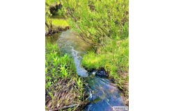 1656 Shadow Loop S, Ashton, ID 83420