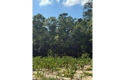 5250 Seymour Road, Dalzell, SC 29404