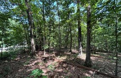 Lot 36 & 37 Beccles  LN, Bella Vista, AR 72714