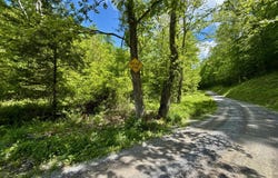 47/Ac Tbd Enoch Rd, Eidson, TN 37731