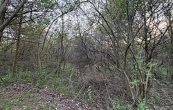 Saltwell Road, Brookville, IN 47012