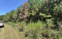 135 Mandolin Way, Warrenton, NC 27589