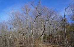 10734 Long Valley Drive, Plato, MO 65552