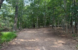 1470 BEAVER RUN ROAD, BURLINGTON, WV 26710