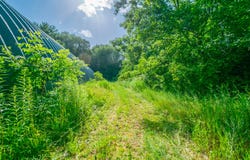 559 W Burr Oak, Athens, MI 49011