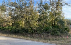 9919 N Pink Moss Point, Crystal River, FL 34428
