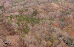 0 Steele Rd, Jasper, AL 35503