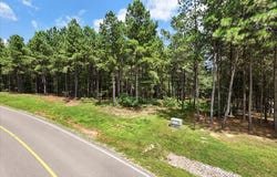 3965 Crockett Point, Jasper, TN 37347