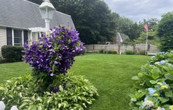 114 Stoney Cliff Road, Centerville, MA 02632