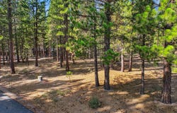 181 Quail View Circle, Clio, CA 96106-0000