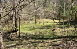 Tbd Cole Mountain  Rd, Hiwassee, VA 24347