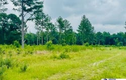 0000 Santa Anita Rd (4.61+/-), cheraw, SC 29520