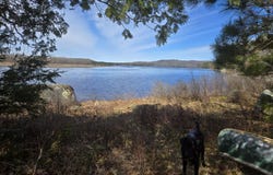 146 Thoroughfare Road, Island Falls, ME 04747