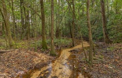 Power Dam Road, Newton, AL 36352