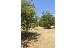 709 N Grand Avenue, Olney, TX 76374