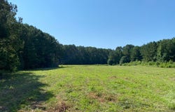 Highway 145, Columbiana, AL 35051