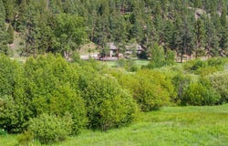 Sula, MT 59871