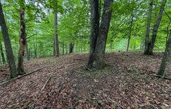 000 Laurel Heights Dr, Sutton, WV 26601