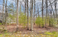 202 GLEN GARDEN LN, DANIELS, WV 25832