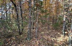 0 Syracuse Lane, Richland, MO 65556
