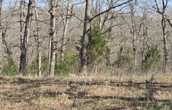 000 Riverside Drive, Mammoth Spring, AR 72554