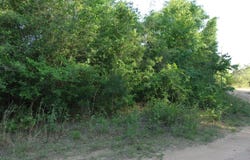 00 Curlew Street, Crestview, FL 32539