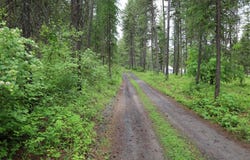 2559 TBD United Copper Mine Rd, Chewelah, WA 99109