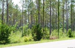 0 Pineapple Highway, Forest Home, AL 36030