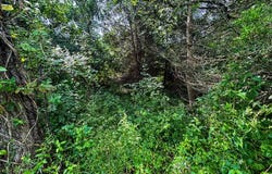 TBD IN- St Rd 45, Bloomington, IN 47403