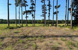 34163 Caston School Road, Wister, OK 74966
