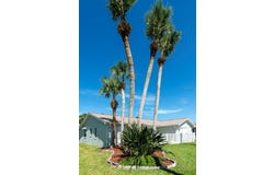 227 OCEAN PALM DRIVE, FLAGLER BEACH, FL 32136