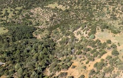 Rancho La Garita, Weston, CO 81091